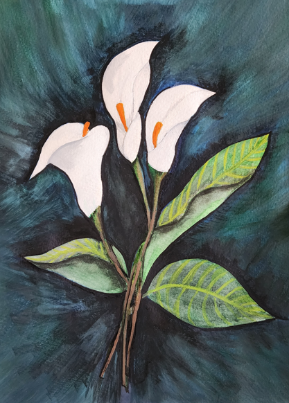 peace lily watercolor Calla Lilies – Canvas and Cottage